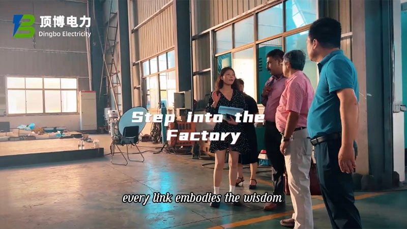 Clientes africanos visitam a fábrica da Dingbo