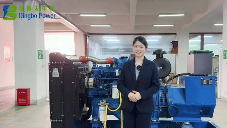 Como adicionar combustível, óleo e líquido refrigerante a um gerador a diesel